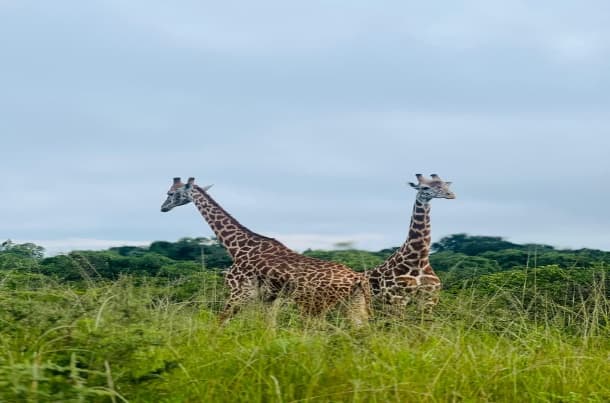 Photographic Tours