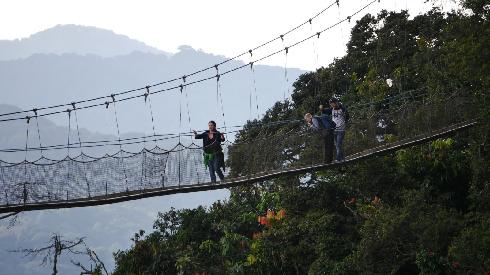 5-Day Nyungwe National Park Chimpanzee Trekking Safari