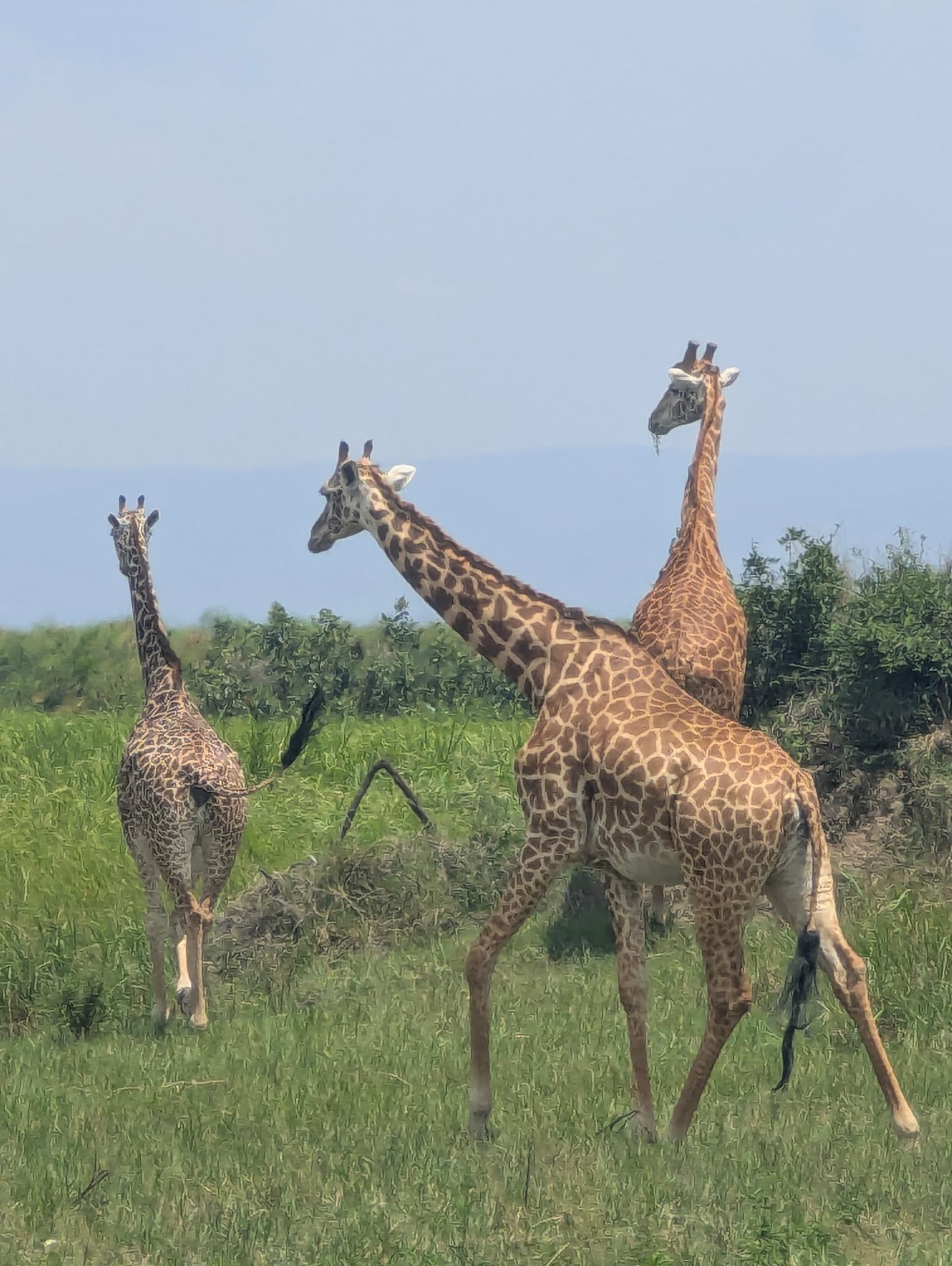 6-Day Best of Rwanda Adventure Safari